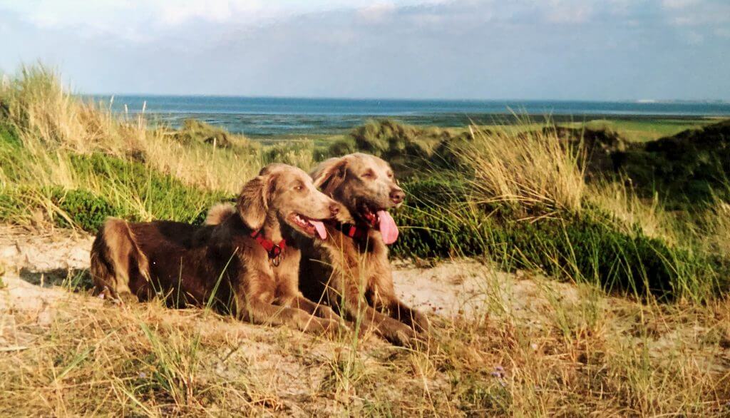 Dorle und Afra