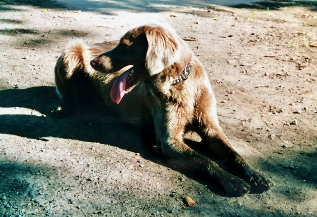 Dorle vom flachen Lande